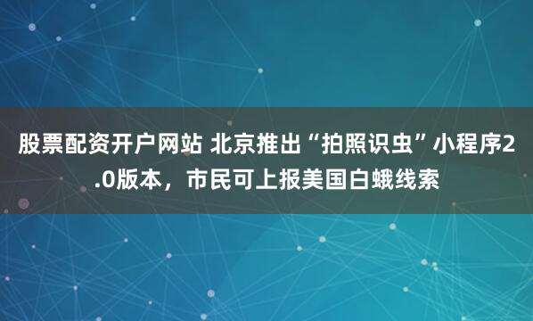 股票配资开户网站 北京推出“拍照识虫”小程序2.0版本，市民可上报美国白蛾线索